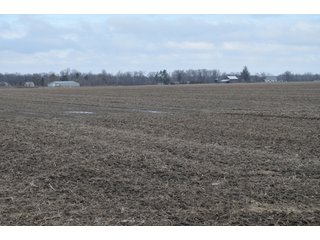 Property photo 22 - 173 +/- Acres Offered in 3 Tracts - Ohio Farmland